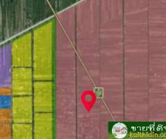 ขายด่วน ที่ดิน 30 ไร่ แปลงสวย พื้นที่สีชมพู ซ.คลองสาม 12/4 คลองหลวง ปทุมธานี